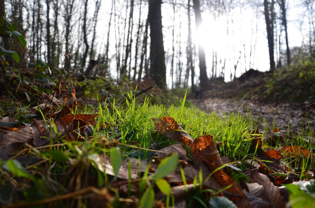 2016-12 France/Rumilly/DSC_0063.JPG